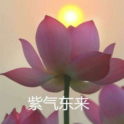 传奇热血手游(暂未上线)v1.0 安卓版