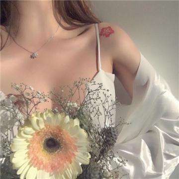 火花人生无限生命版下载